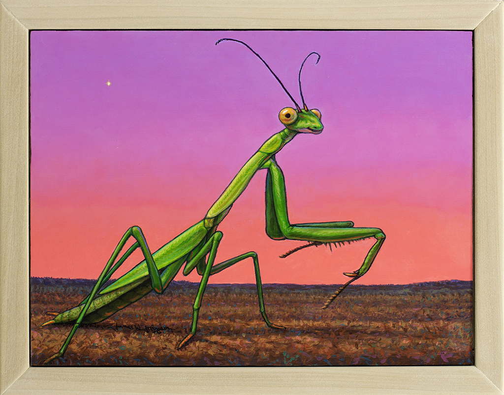 Portrait of a Praying Mantis
